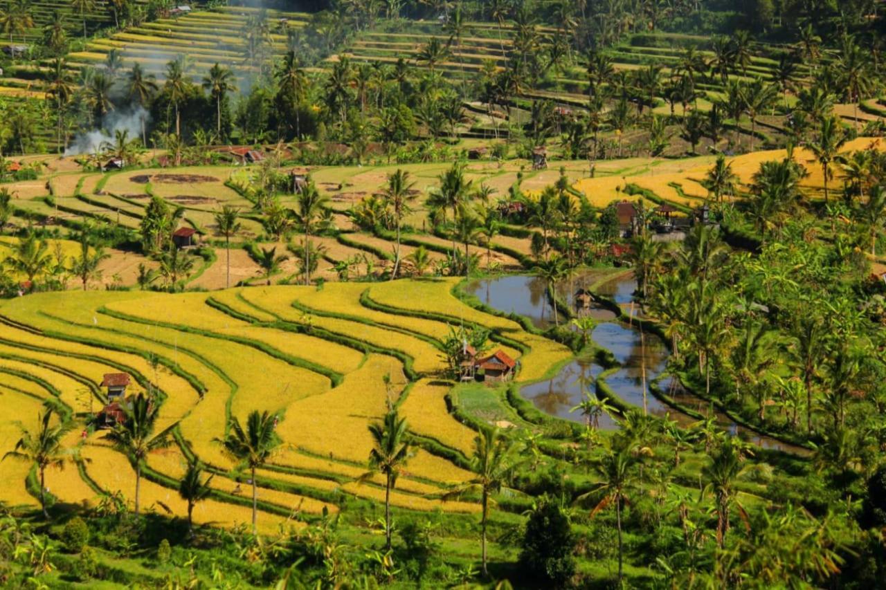 Bali Munduk Delux Bungalow Villa Singaraja Eksteriør billede