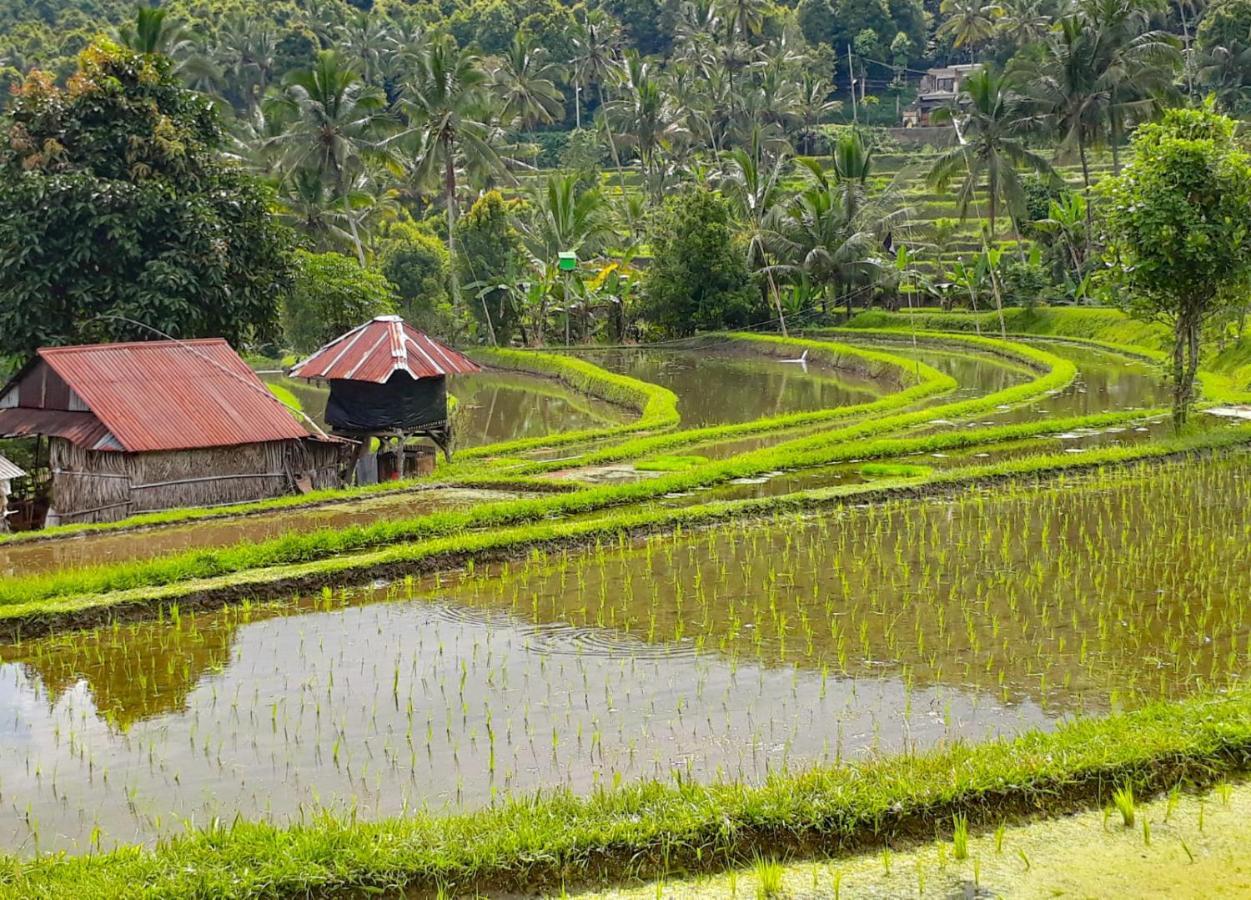 Bali Munduk Delux Bungalow Villa Singaraja Eksteriør billede