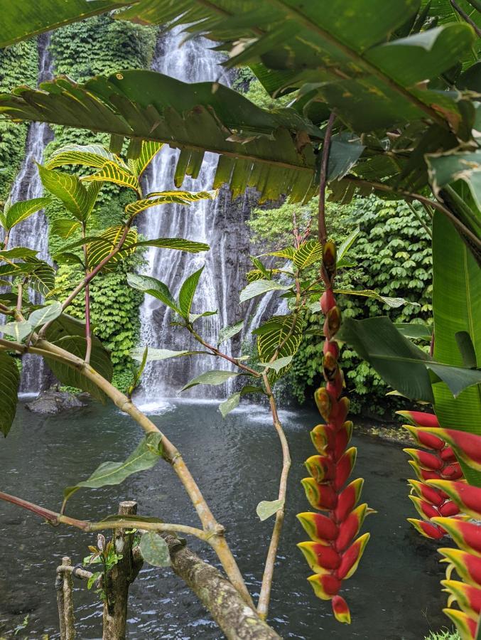 Bali Munduk Delux Bungalow Villa Singaraja Eksteriør billede