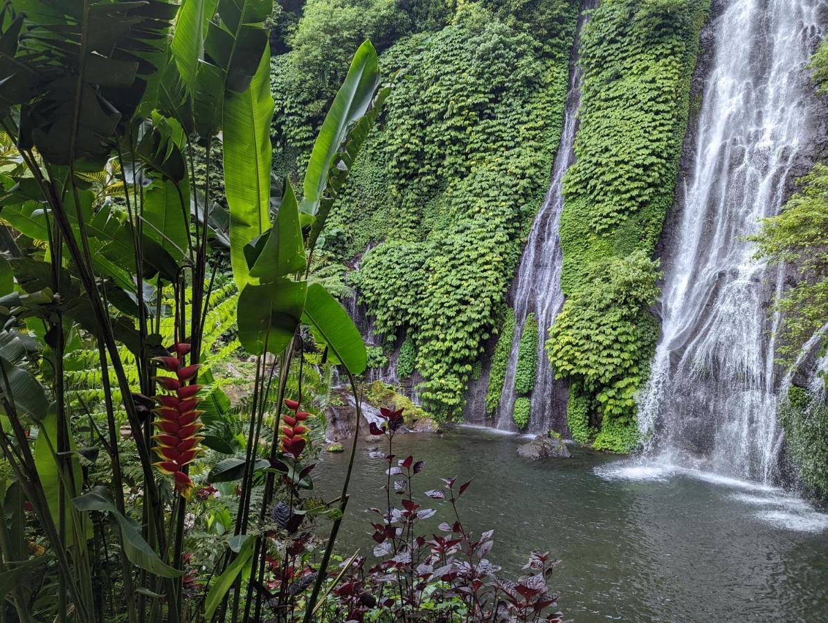 Bali Munduk Delux Bungalow Villa Singaraja Eksteriør billede