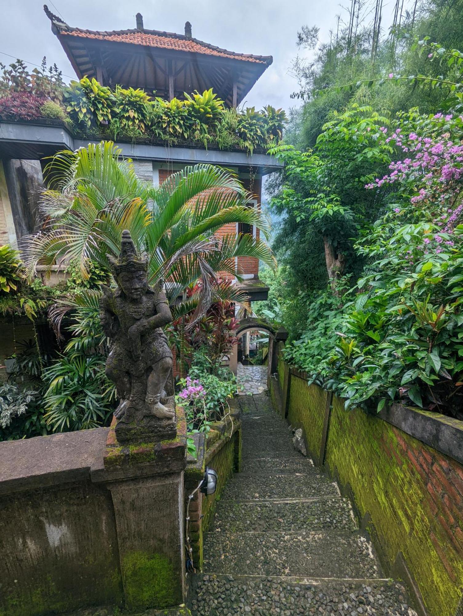 Bali Munduk Delux Bungalow Villa Singaraja Eksteriør billede