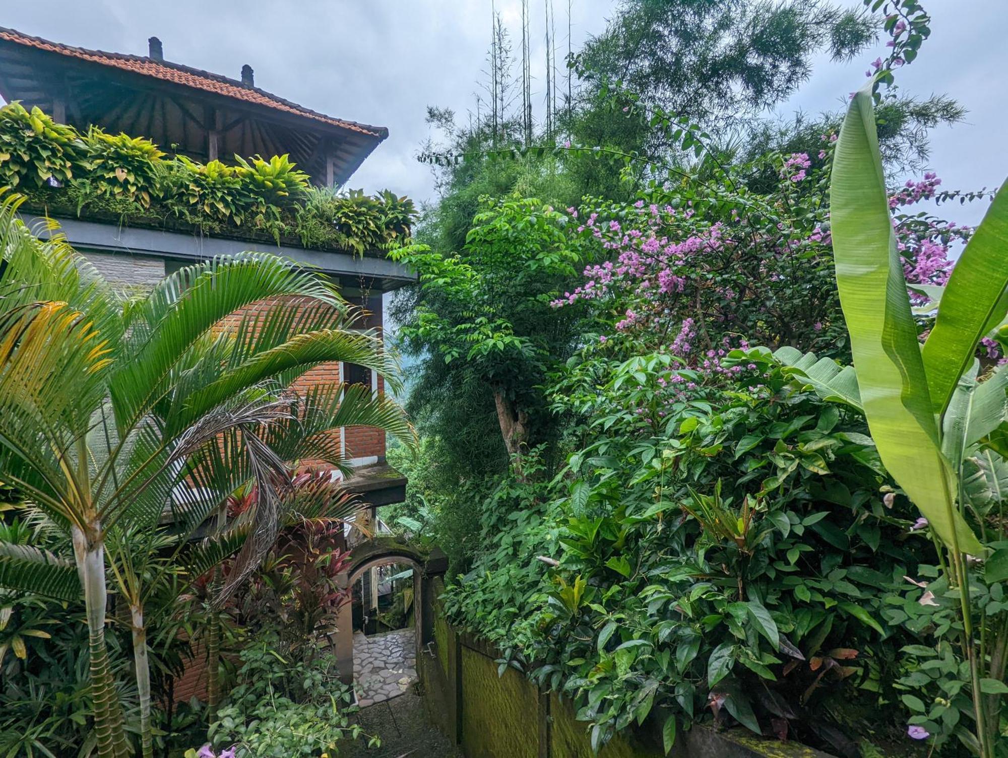 Bali Munduk Delux Bungalow Villa Singaraja Eksteriør billede