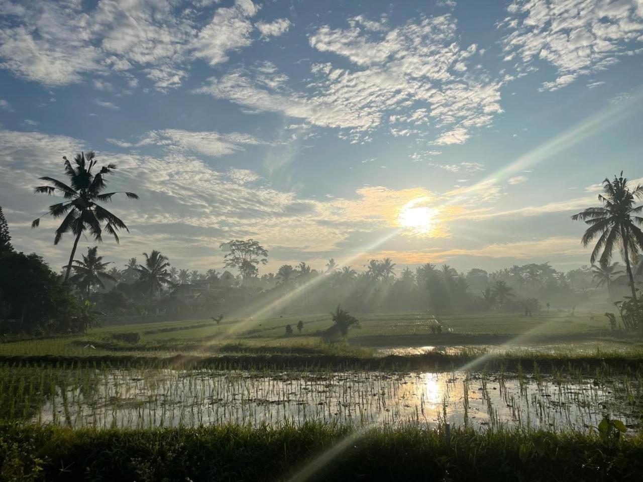 Bali Munduk Delux Bungalow Villa Singaraja Eksteriør billede